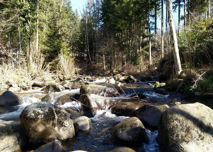 Horská chata Paradis, Panoramic View, Garden & Terrace Xonrupt-Longemer
