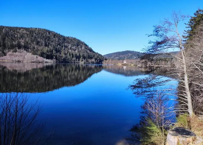 Paradis, Panoramic View, Garden & Terrace Xonrupt-Longemer